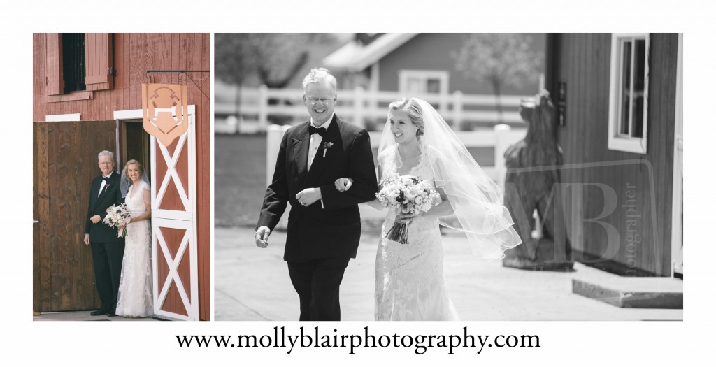 Larkspur wedding photographer