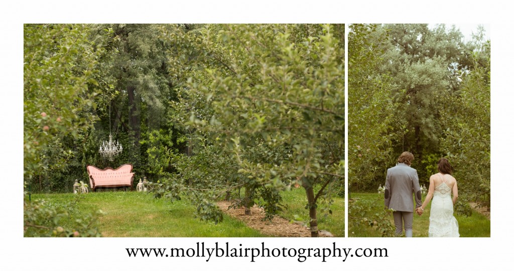 Summer Wedding in Apple Orchard