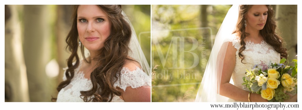 bella-vista-bridal-portrait-summer-wedding-molly-blair-photography