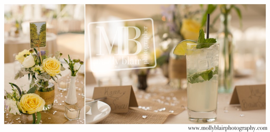 bella-vista-estate-signature-mojito-cocktail-moly-blair-photography