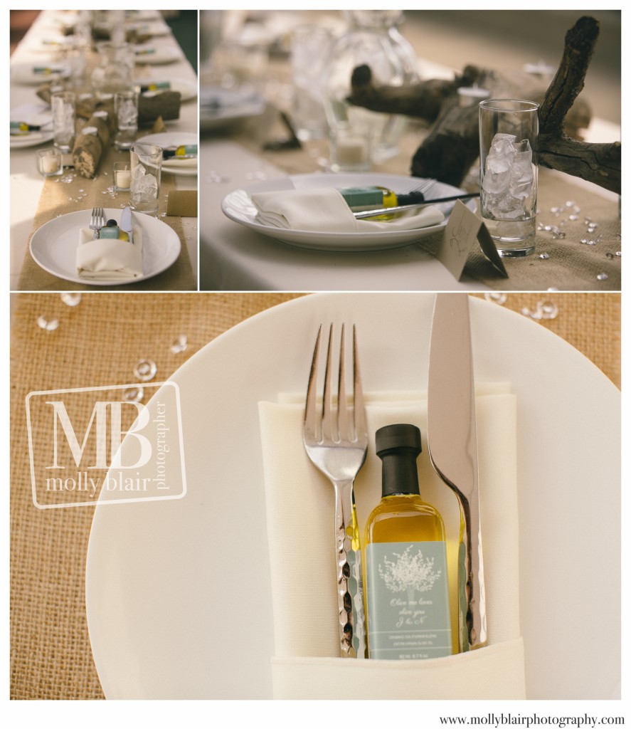 bella-vista-estate-tented-wedding-place-settings-molly-blair-photography