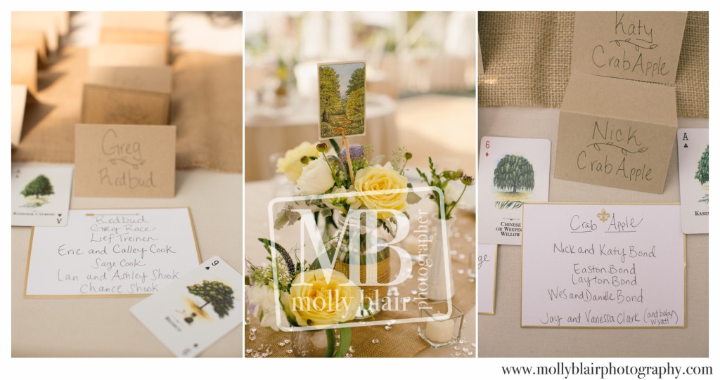 tented-wedding-rocky-mountain-wedding-steamboat-springs